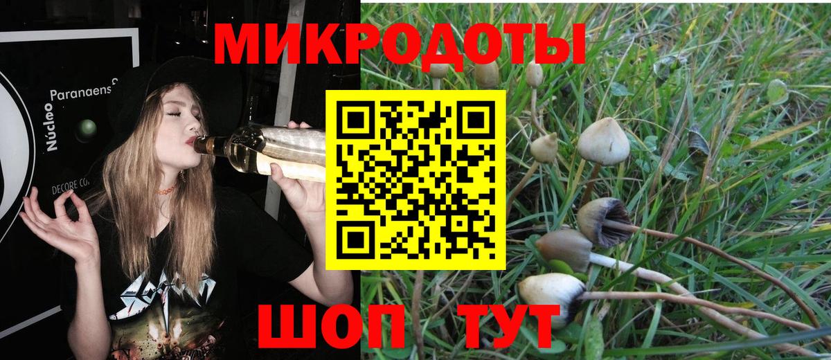цена   Вход с VPN  Сарапул  Галлюциногенные грибы MAGIC MUSHROOMS 